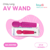 Gậy Micro kết nối