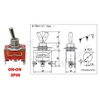 Công Tắc Gạt Đơn E-TEN 1021 15A/250V 2 Chế Độ ON-OFF 2P