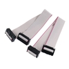 Dây IDE Bâm Sẵn 2 Đầu IDE 2.54 Dài 20Cm