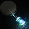 Bộ 5 Led 7 Màu 2 Chân Nháy Chậm 3VDC 5mm Trong Suất Nhấp Nháy Đầy Màu Sắc