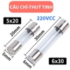 Cầu Chì Ống Thuỷ Tinh 5x20mm 250V