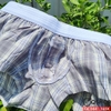 QC244 - Quần đùi ngủ nam ngắn mát