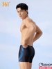 Quần bơi đùi cao cấp 361 hàng nội địa Trung QT599