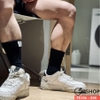 Vớ, tất cổ cao thời trang nam TK106