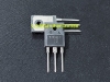 IGBT RJH60F7 Thân Vuông Bóc Máy, Đảm Bảo Chất Lượng.( có thể thay thế rjh60f5 )