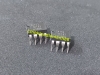 IC Nguồn STR2A153 2A153 2A155D DIP-8 Mới Chính Hãng 100%.
