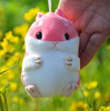 Móc khóa chuột lang