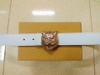 Thắt lưng da nam mặt cáo Z88