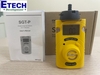 Máy đo khí H2S Senko SGTP-H2S (0~100ppm)