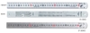Thước lá thép Niigata Seiki SV-600KD (0-600mm)