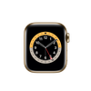 Apple Watch Series 6 Stainless Steel 