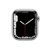 Apple Watch Series 7 Stainless Steel 