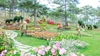 Thung Lũng Tình Yêu-Du Lịch Đà Lạt