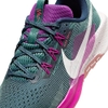 Giầy Nam Nike Pegasus Trail 5  DV3864-401