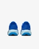 Giầy Nam Nike HQ1717-400