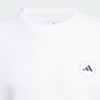Áo Nỉ Nam Adidas IU4517