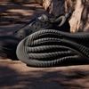 Giầy Nam Adidas JQ4336