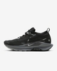 Giầy Nam Nike  Pegasus Trail 5 FQ0912-001