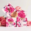 SET LANCOME hồng limited 2025 (2 màu 316-296)