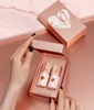 Set YSL 2 son limited (vân đá - màu 610+442)