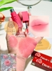 Son kem lì Dinto (Madame Butterfl Collection) Blurring Lip Veil