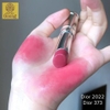 son môi Dior Addict Shine lipstick (vỏ đen)