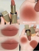 Son môi Estee lauder pure color (matte)
