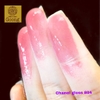 son môi Chanel rouge coco gloss