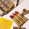 Son Gucci limited hoạ tiết xanh đỏ