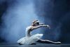 Chuyện đẹp giữa mùa Covid: Hơn cả Ballet