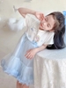 Váy công chúa elsa bồng bềnh s120