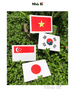 Bộ Thẻ Học Flashcard 100 Lá Cờ Các Nước Nổi Tiếng Trên Thế Giới - Kích Cỡ 15 X 10 cm