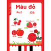 Máy đọc thẻ Ô Tô Thần Kì - ngôn ngữ Anh Việt Trung - chính hãng Tân Việt books