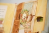 Sách Bốn mùa yêu thương - Gia đình mèo cam - trang cứng lật mở lift the flap Tân Việt Books
