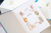 Boxset Thế giới của Thỏ Peter (23 tập truyện gốc bìa cứng - Kim Đồng)