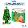 Đồ Chơi Stem Cây Thông Thần Kỳ Tự Nở Cho Bé Trang Trí Giáng Sinh Noel - Mideer MD4052