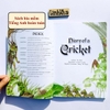 Sách tiếng Anh Dế Mèn phiêu lưu ký - Diary of a Cricket (bìa mềm) NXB Kim Đồng