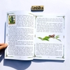 Sách tiếng Anh Dế Mèn phiêu lưu ký - Diary of a Cricket (bìa mềm) NXB Kim Đồng