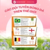 Các đội tuyển bóng đá trên thế giới - Tân Việt