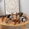 Bộ mô hình động vật hoang dã 15 con vật - mideer Animal Toys Set 15Pcs