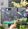 Lift-The-Flap-Lật mở khám phá - 5-12T - Space - Vũ trụ