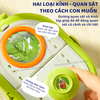 Đồ chơi khám phá tự nhiên Hộp đựng quan sát côn trùng MD0112 mideer