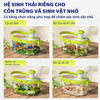 Đồ chơi khám phá tự nhiên Hộp đựng quan sát côn trùng MD0112 mideer