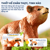 Đồ Chơi Mô Hình Động Vật Mideer mideer pocket friends 12pcs
