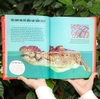 Bách khoa thư Britannica dành - Cuốn sách khổng lồ giải đáp 100++ câu hỏi TẠI SAO hóc búa
