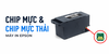 Chip mực và chip mực thải là gì?