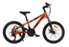Xe đạp thể thao trẻ em LanQ VA220 20 Inch