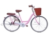 Xe đạp mini Thống Nhất NEW 26