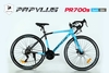 Xe đạp đua Road bike Papylus PR700s