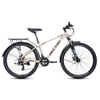 Xe đạp địa hình HECTOR LAZER 2B - 26 Inch